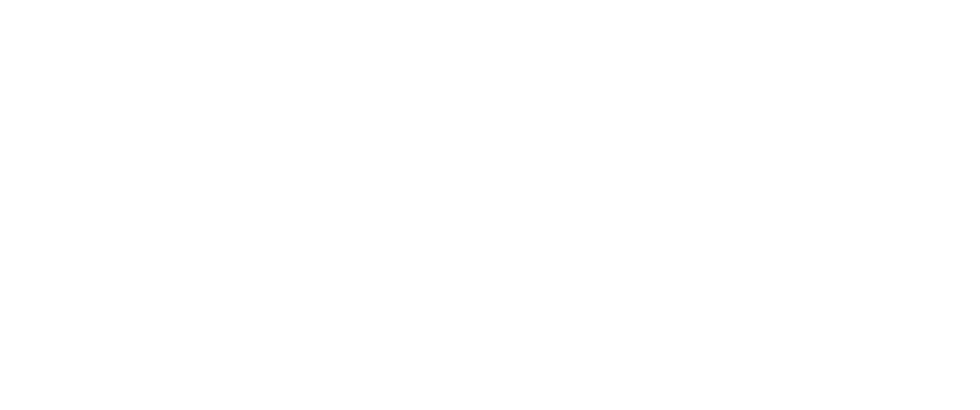 Sea Rocket